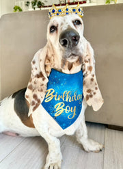 Birthday Boy Dog Birthday |  Birthday Dog Bandana | Happy Birthday Bandana | Party Bandana
