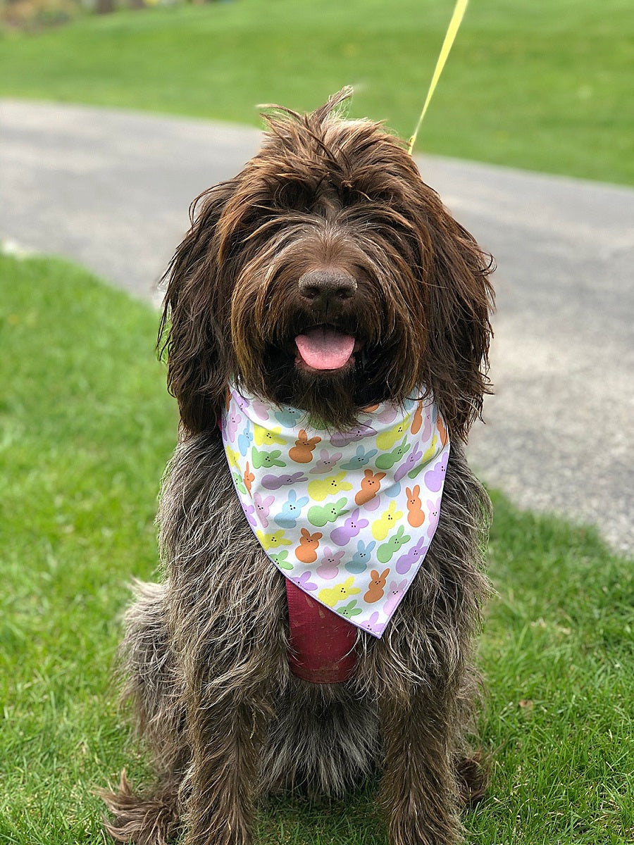 Easter Bandana, Easter Peeps, Bunny, Marshmallow, Spring Bandana - Southlake Paws