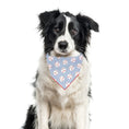 Load image into Gallery viewer, Baseball Bandana | Sports Bandana | Dog Bandana
