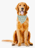 Load image into Gallery viewer, Coffee Bandana | Food Dog Tie Bandana | Dog Treat | Dog Bandana - Southlake Paws

