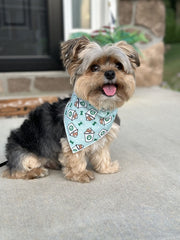 Coffee Bandana | Food Dog Tie Bandana | Dog Treat | Dog Bandana