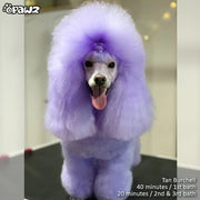 Color Depositing Shampoo Purple 17oz by Opawz