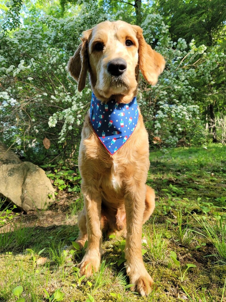 Patriotic | Memorial Day Bandana | USA | Patriotic bandana | Popsicle | 4th of July - Southlake Paws