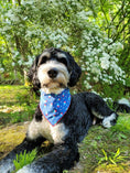 Load image into Gallery viewer, Patriotic | Memorial Day Bandana | USA | Patriotic bandana | Popsicle | 4th of July

