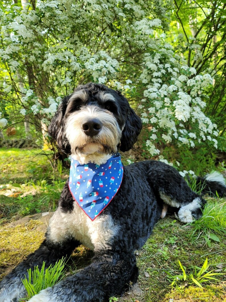 Patriotic | Memorial Day Bandana | USA | Patriotic bandana | Popsicle | 4th of July