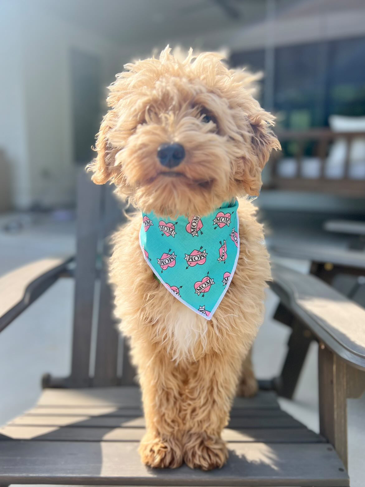 Mom | Dog Mom Bandana | Mothers Day | Love Mom | Dog Bandana - Southlake Paws