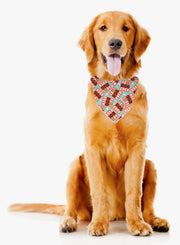 Best Dog Ever | Dog Bandana | Novelty Bandana
