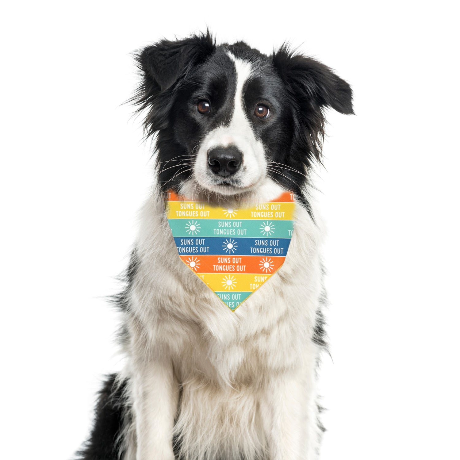 Summer Bandana | Nautical Bandana | Beach Bandana | Pool, Lake Dog Bandana - Southlake Paws
