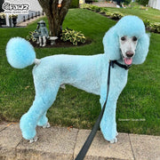 Color Depositing Shampoo Blue 17oz by Opawz