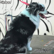 Color Depositing Shampoo Blue 17oz by Opawz