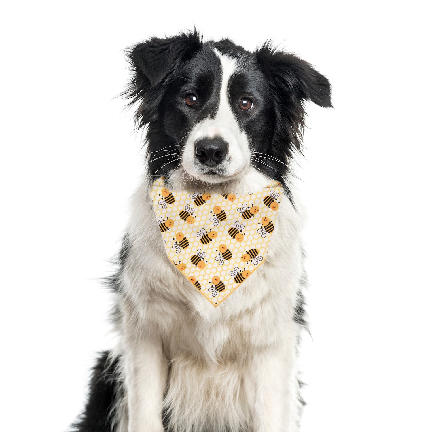 Spring Bandana | Summer Bandana | Bumble Bee Bandana - Southlake Paws