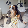 Load image into Gallery viewer, Spring Bandana | Summer Bandana | Bumble Bee Bandana - Southlake Paws
