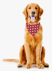 Summer | 4th of July | Memorial Day Bandana | USA | American Flag Bandana | Patriotic bandana | Stars Dog Bandana