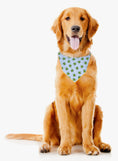 Load image into Gallery viewer, Summer Bandana | Nautical Bandana | Turtle Bandana | Beach Bandana | Lake | Sand - Southlake Paws
