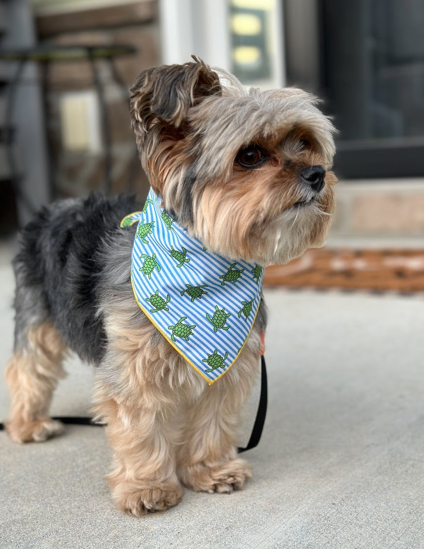 Summer Bandana | Nautical Bandana | Turtle Bandana | Beach Bandana | Lake | Sand - Southlake Paws