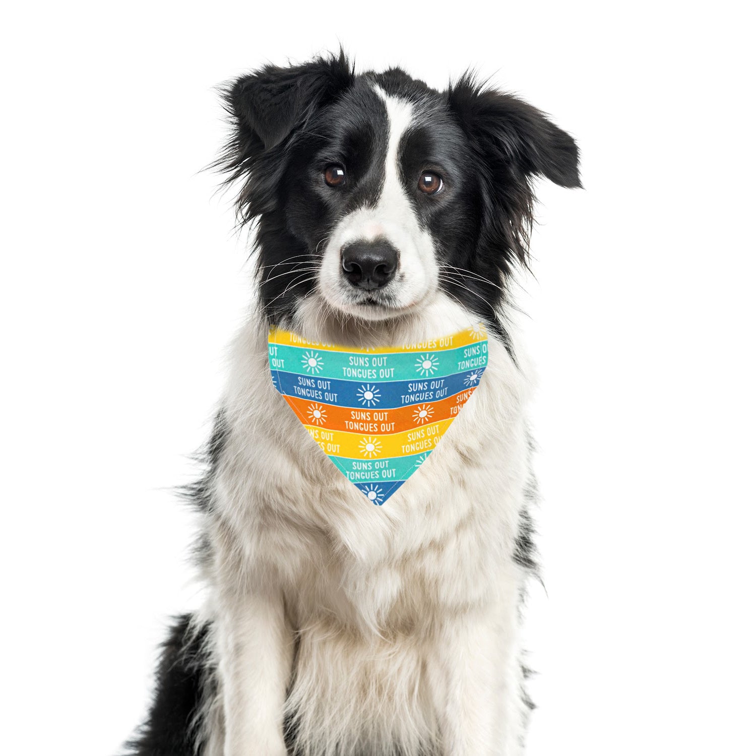 Summer Bandana | Beach, Lake | Nautical Bandana | Dog | Suns Out Tongues Out - Southlake Paws