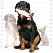 tuffy® Transportation Airplane