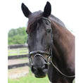 Load image into Gallery viewer, Henri de Rivel Pro Piaffe Mono Crown Bridle with Flash Noseband with Patent Leather - image 4

