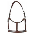 Load image into Gallery viewer, Henri de Rivel Padded Crystal Halter - image 2
