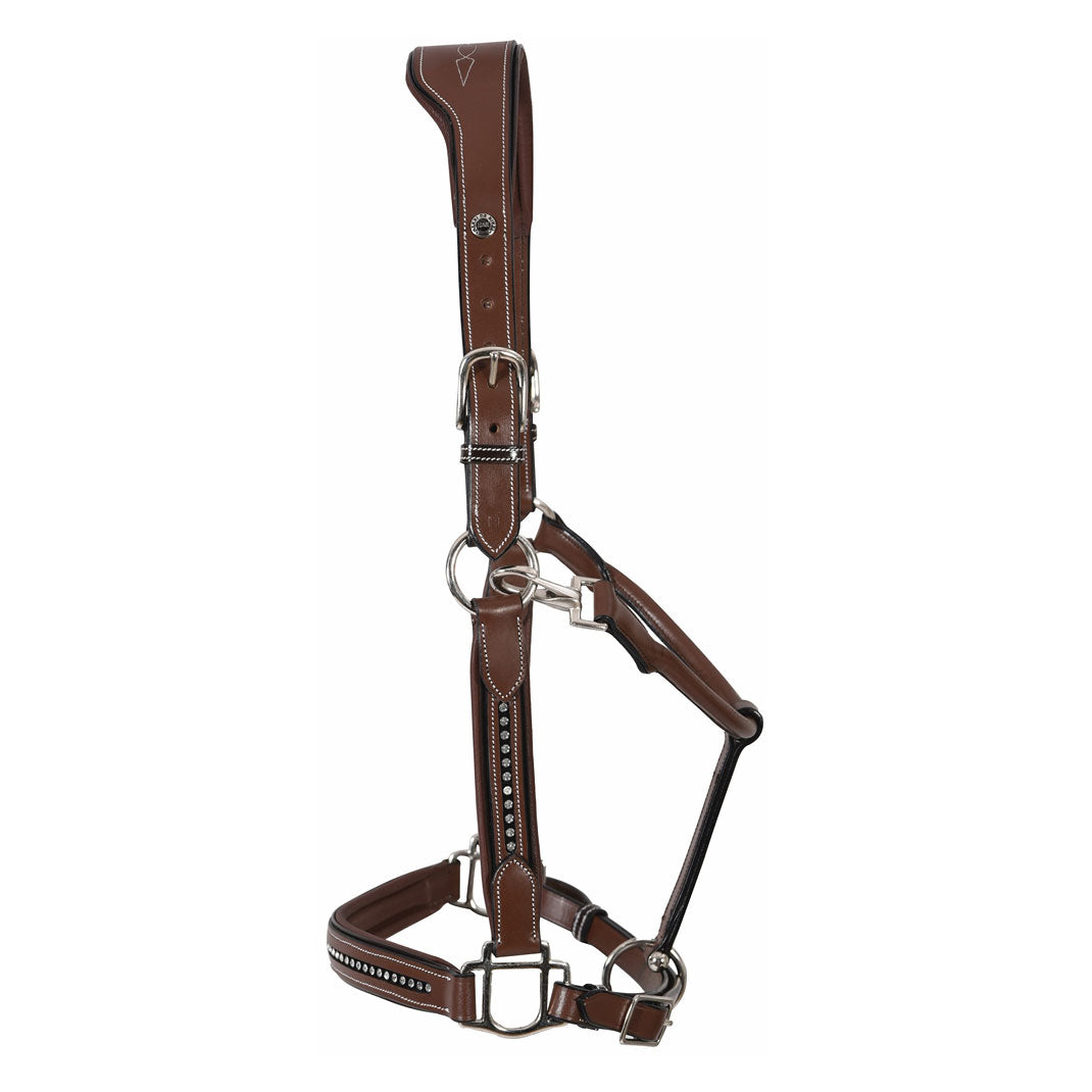 Henri de Rivel Padded Crystal Halter - image 3