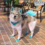Permanent Dog Hair Dye Lamarius Blue 8oz by Opawz