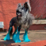 Permanent Dog Hair Dye Lamarius Blue 8oz by Opawz