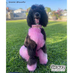 Permanent Dog Hair Dye Charm Pink 8oz by Opawz