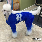 Permanent Dog Hair Dye Cobalt Blue 8oz by Opawz