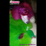 Permanent Dog Hair Dye Profound Green 8oz by Opawz