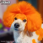 Permanent Dog Hair Dye Ardent Orange 8oz by Opawz