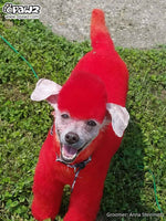 Permanent Dog Hair Dye Hot Red 8oz by Opawz