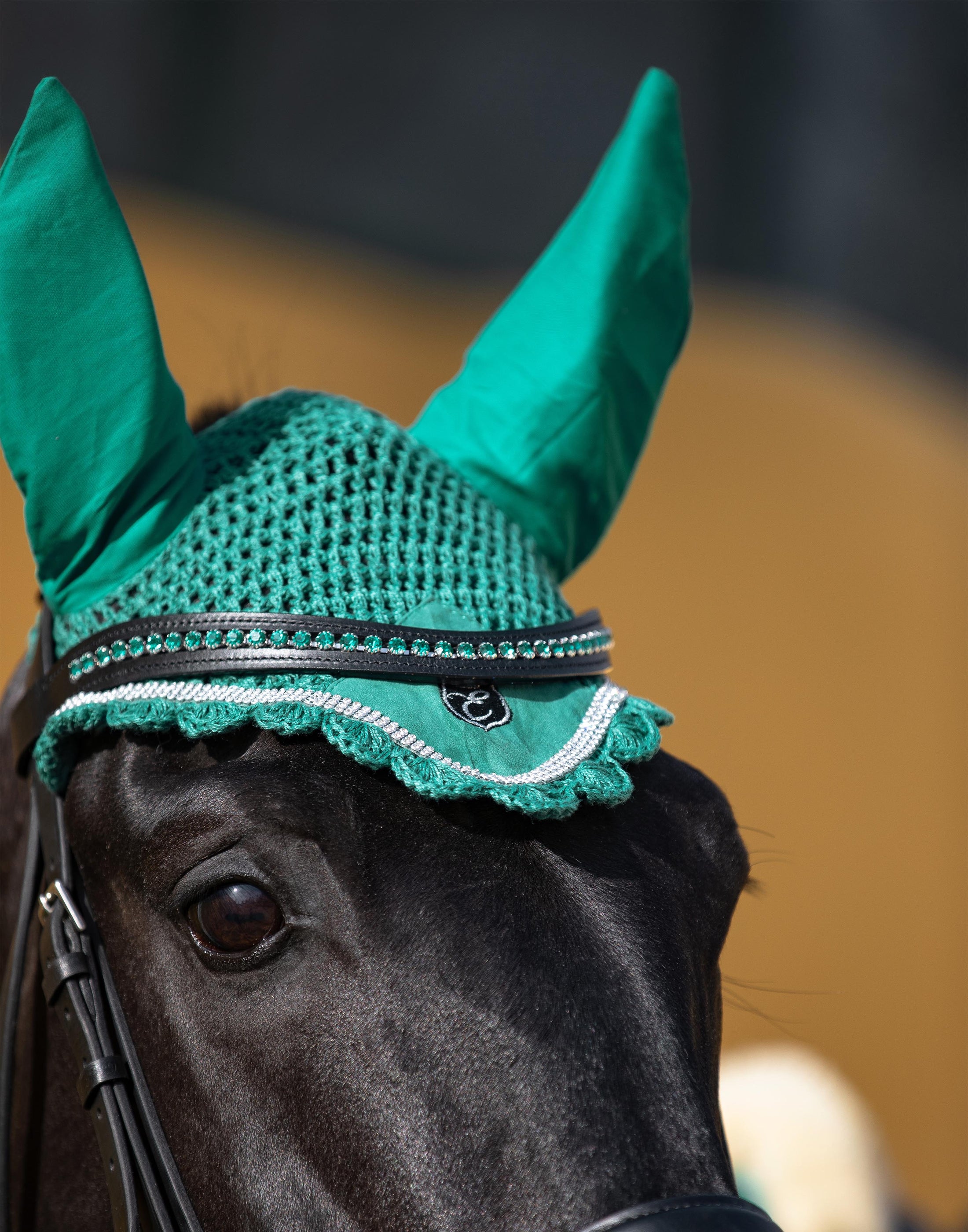 Teal Browband by Southlake Paws featuring a decorative design and ear covers on a horse's head.