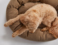 Load image into Gallery viewer, Warby Beige Donut Bed
