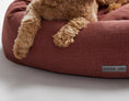 Load image into Gallery viewer, Warby Cranberry Donut Bed
