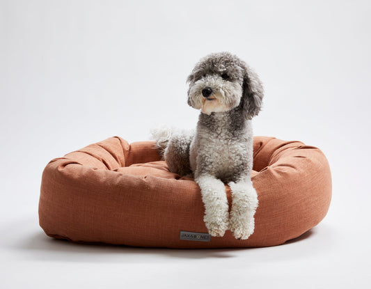 Warby Terracotta Donut Bed