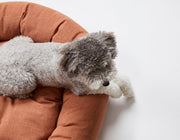 Warby Terracotta Donut Bed