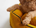 Load image into Gallery viewer, Bumble Chartreuse Lounge Bed
