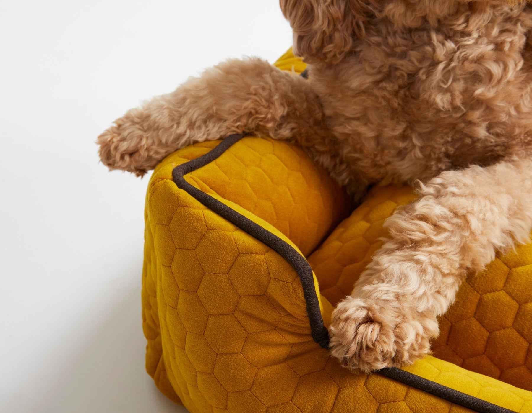 Bumble Chartreuse Lounge Bed