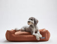 Load image into Gallery viewer, Warby Terracotta Lounge Bed

