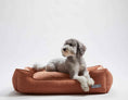 Load image into Gallery viewer, Warby Terracotta Lounge Bed
