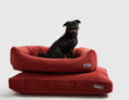 Load image into Gallery viewer, Warby Napper Bed
