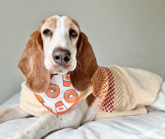 Pumpkin Spice | Fall Bandana | Pumpkin Bandana | Donut | Halloween Dog Bandana - Southlake Paws