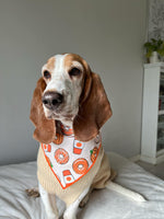 Pumpkin Spice | Fall Bandana | Pumpkin Bandana | Donut | Halloween Dog Bandana