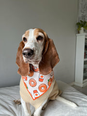 Pumpkin Spice | Fall Bandana | Pumpkin Bandana | Donut | Halloween Dog Bandana
