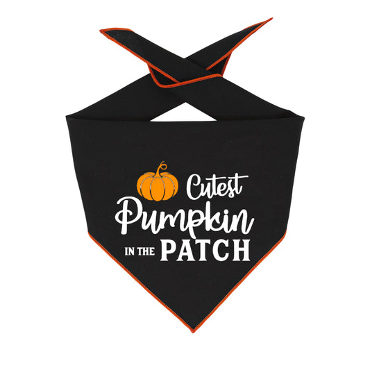 Halloween Bandana | Halloween Dog Bandana | Pet Bandana | Cutest Pumpkin - Southlake Paws