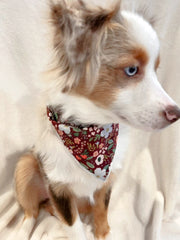 Fall Bandana, Dog Bandana, Flower Bandana, Summer, Spring Bandana | Rifle Paper Co