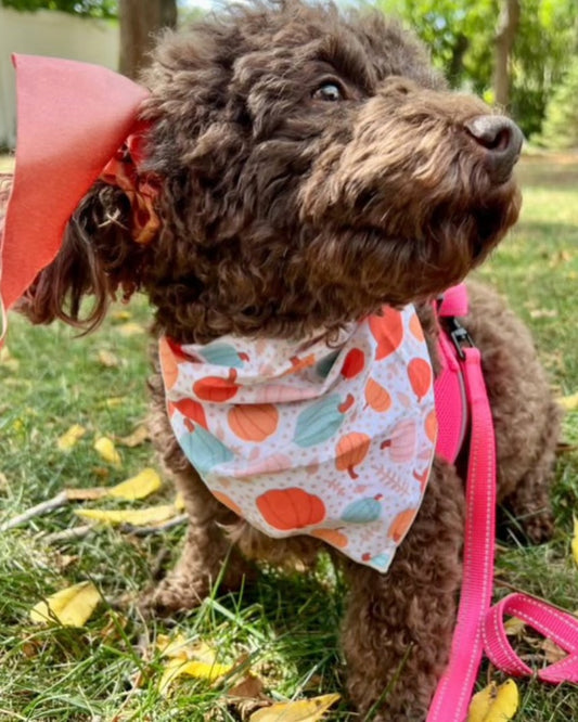 Fall Pumpkin Bandana | Halloween Dog Bandana | Thanksgiving | Fall Bandana - Southlake Paws