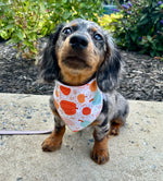 Fall Pumpkin Bandana | Halloween Dog Bandana | Thanksgiving | Fall Bandana