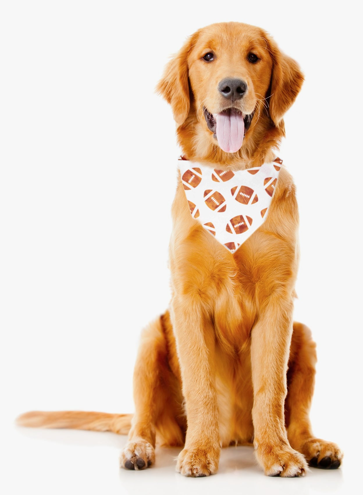 Fall Bandana | Football Bandana | Dog Bandana | Thanksgiving | Fall Sports - Southlake Paws