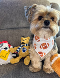 Load image into Gallery viewer, Fall Bandana | Football Bandana | Dog Bandana | Thanksgiving | Fall Sports
